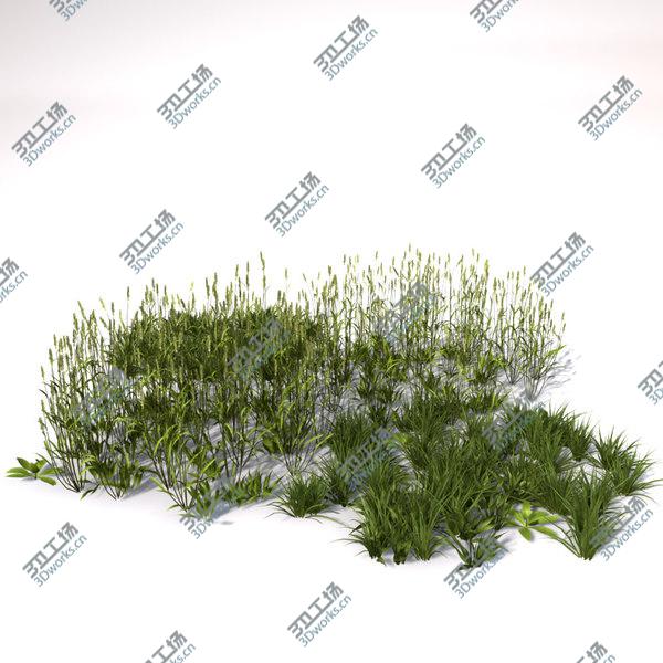 images/goods_img/20210312/Grass vol2/4.jpg